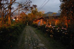 Jardin Antioquia Camino De La Herrera