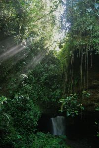 Jardin Antioquia Cueva Del Esplendor Ext. V