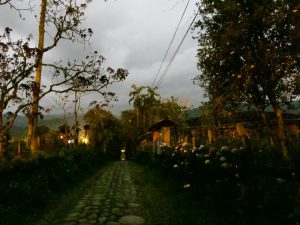 Jardin Antioquia Dsc01171 Camino Piedra