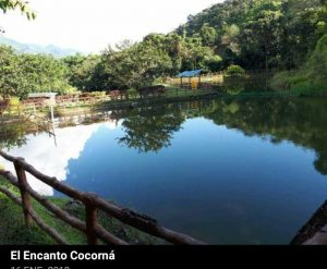 El Encanto Cocorná Antioquia Lago De Pesca