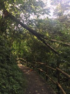 San Francisco Antioquia Parque Lineal Sendero Ecológico
