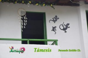 Támesis Antioquia Frch Lagartijas Dsc 0146
