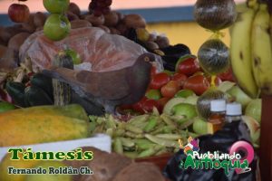 Támesis Antioquia Frch Paloma Frutas