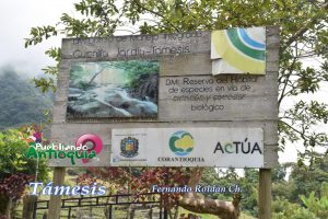 Támesis Antioquia Frch Reserva Dsc 0161