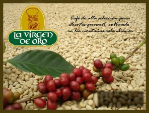 Támesis Antioquia Vigen Oro Cafe Foto Inicial