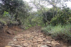 Camino De Piedra Hacienda Corrales 06
