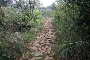 Camino De Piedra Hacienda Corrales 07