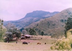 Cerro-Morogacho Abriaquí-Antioquia