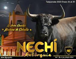 Municipio de Nechí