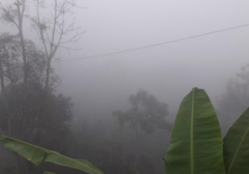 Niebla - Briceño - Antioquia
