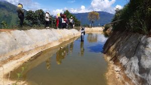 Economía de la Piscicultura en Briceño, Antioquia