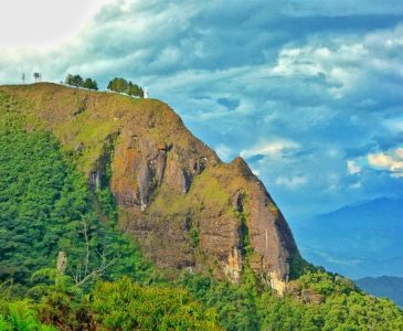 WhatsApp Image 2020-08-31 at 2.32.43 PM (2)