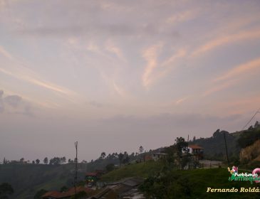 Amancer - Norte Antioquia - FRCH - DSC_0024 - A -