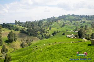 Paisajes - Entrerríos Antioquia - FRCH