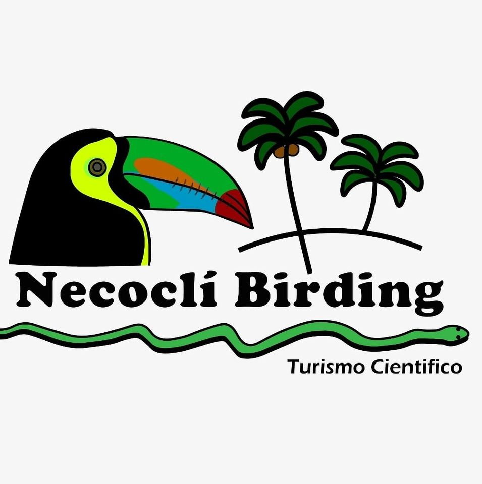 Necoclí Birding - Logo
