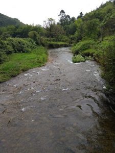 Río Piedras - Jericó