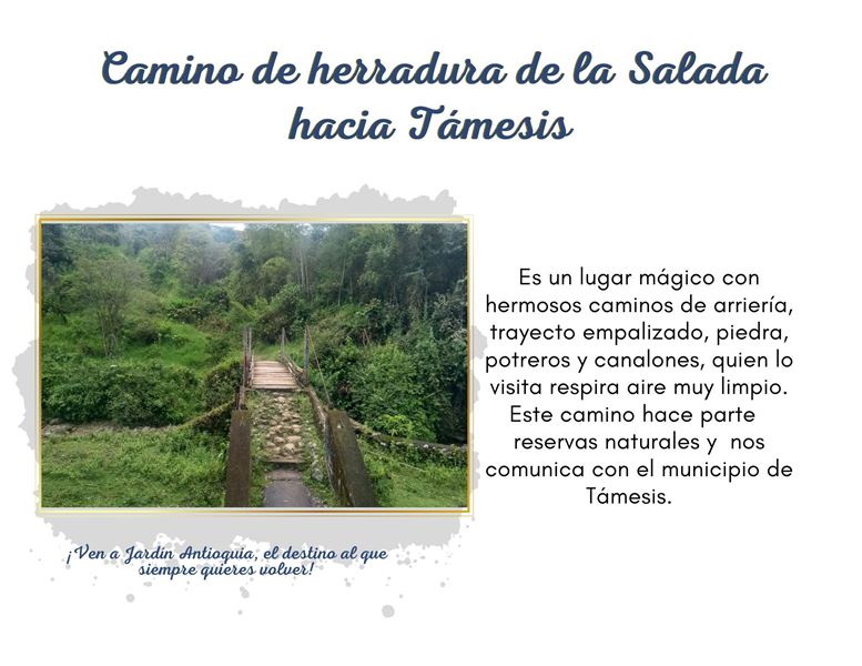 La Salada hacia Támesis - Jardín Antioquia