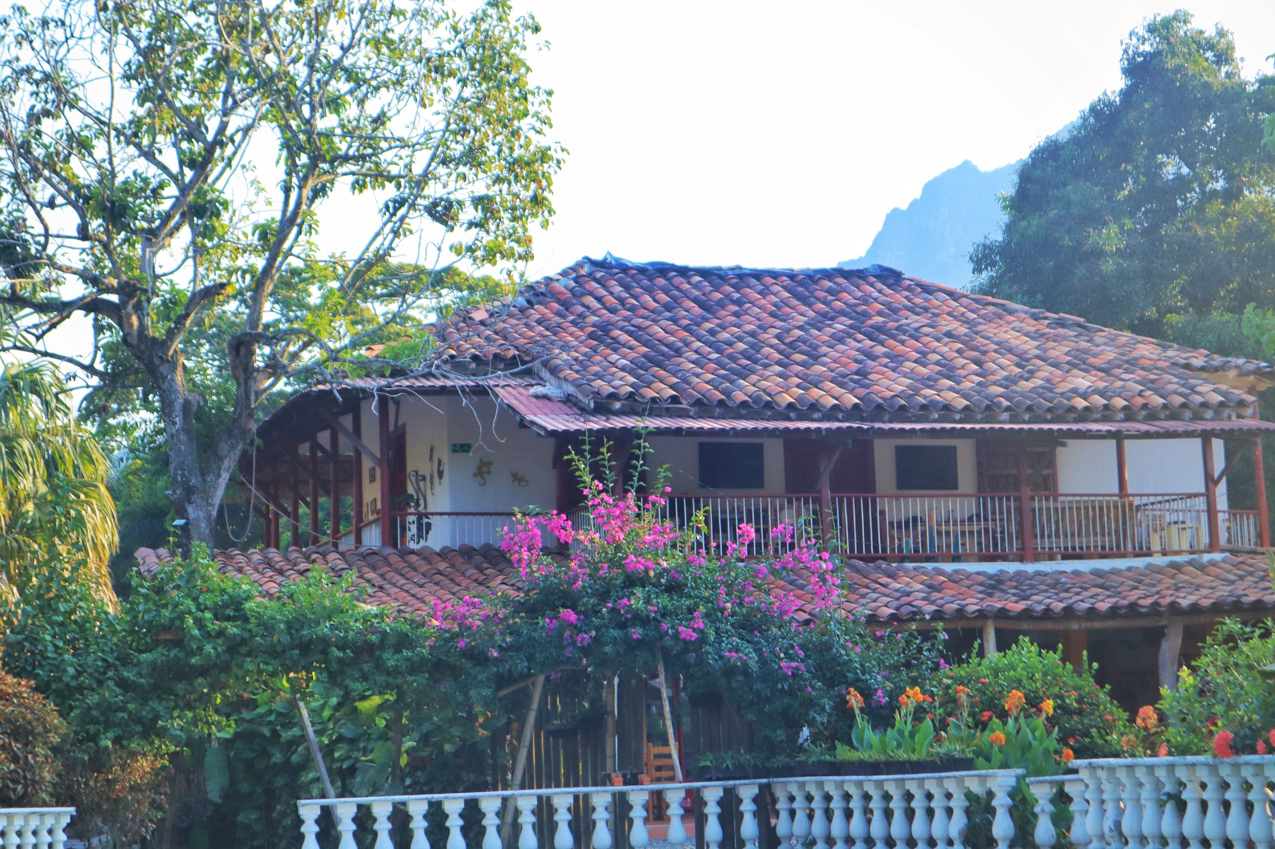 HACIENDA-LAS-VEGAS-scaled - La Pintada Antioquia