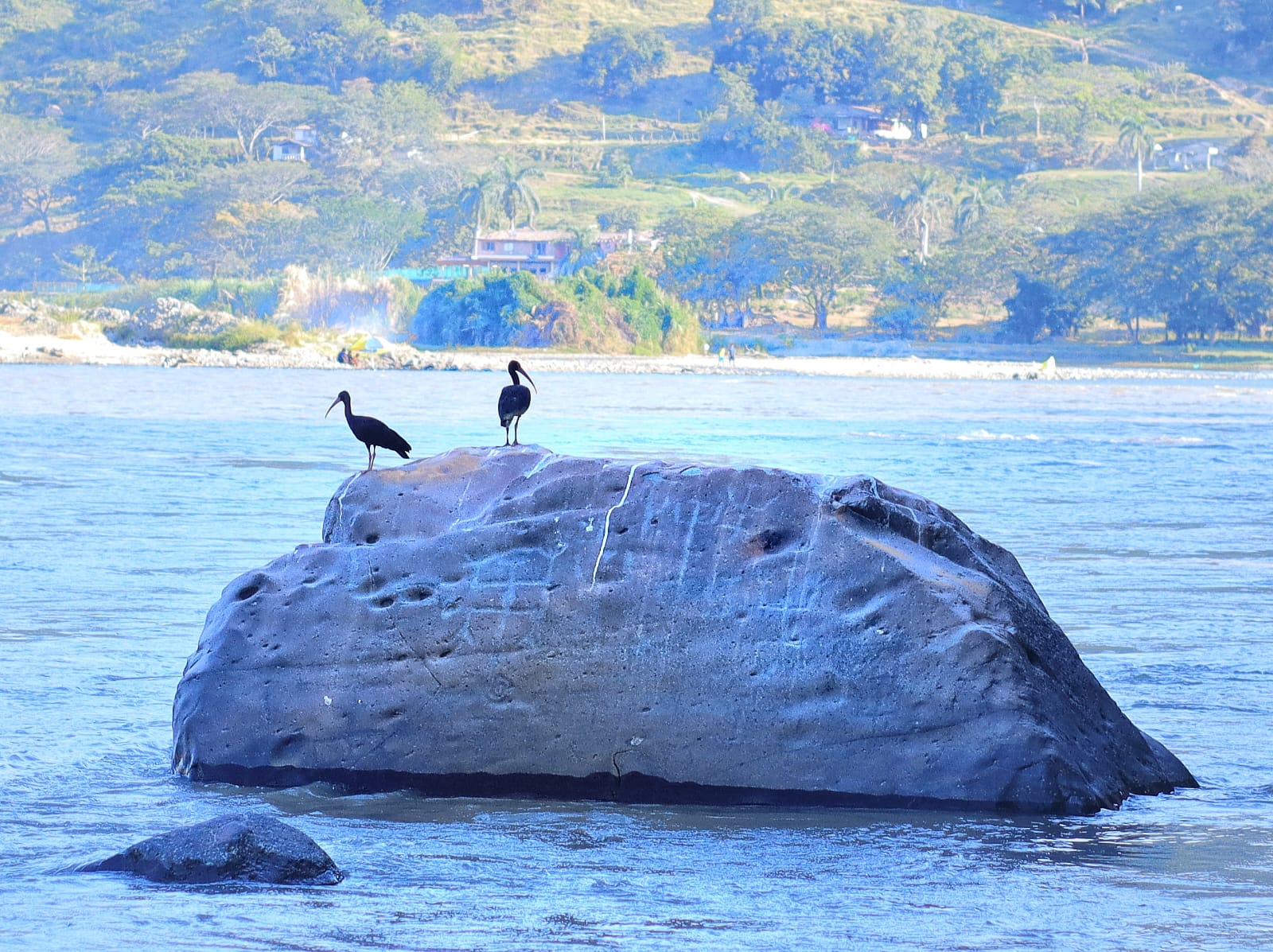 PETROGLIFOS 1 - La Pintada Antioquia