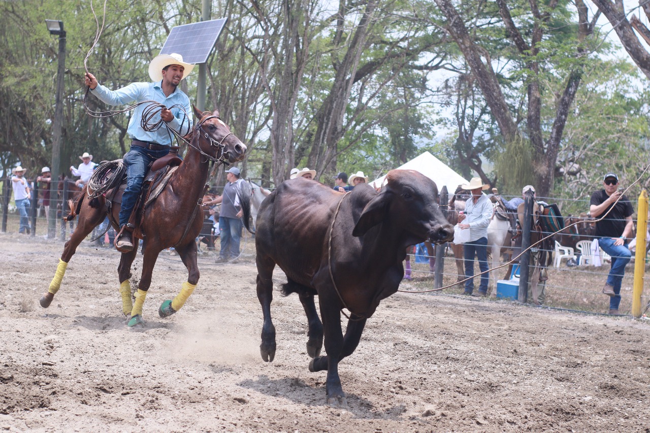 SUBASTA-GANADERA-1 - La Pintada Antioquia