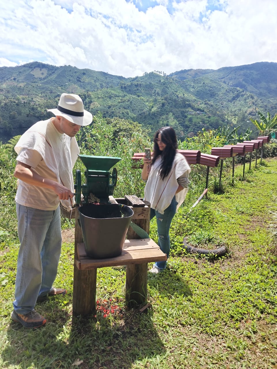 Descascarando el café - Café del Jardín - Antioquia