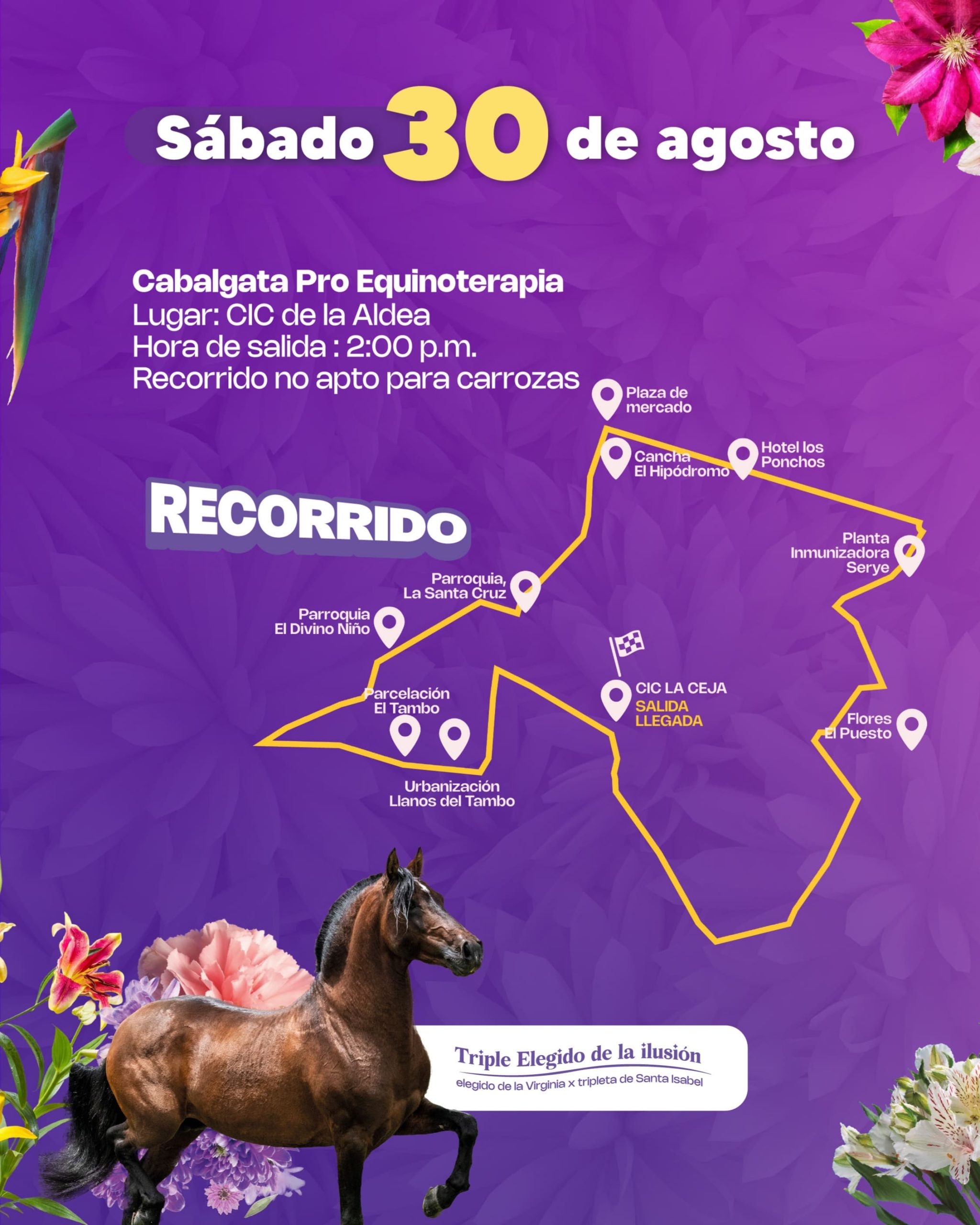 Sábado 30 - Fiestas del Toldo 2025 - La Ceja