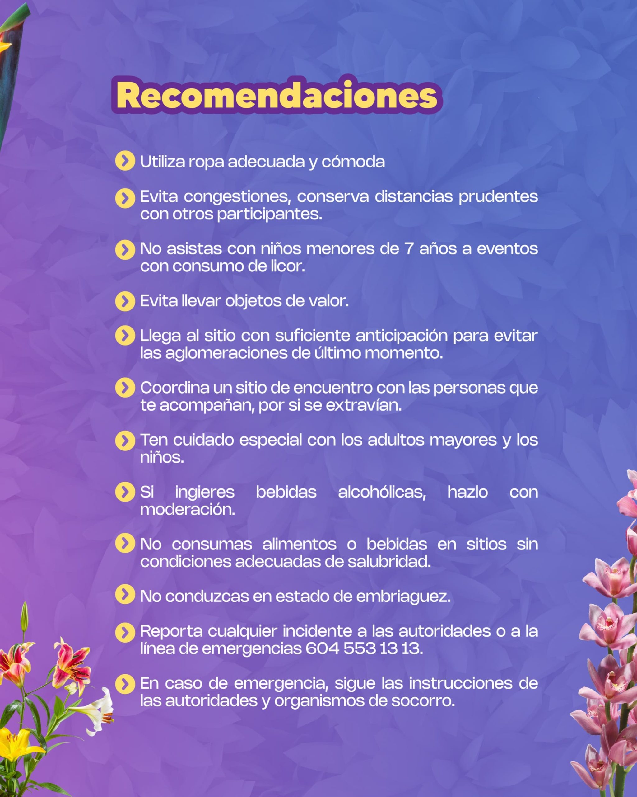 Recomendaciones - Fiestas del Toldo 2025 - La Ceja