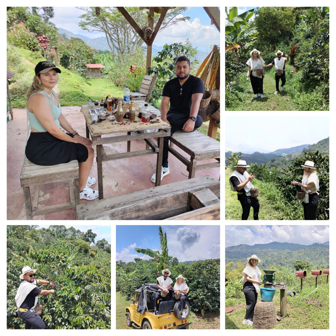Café del Jardín 2025
