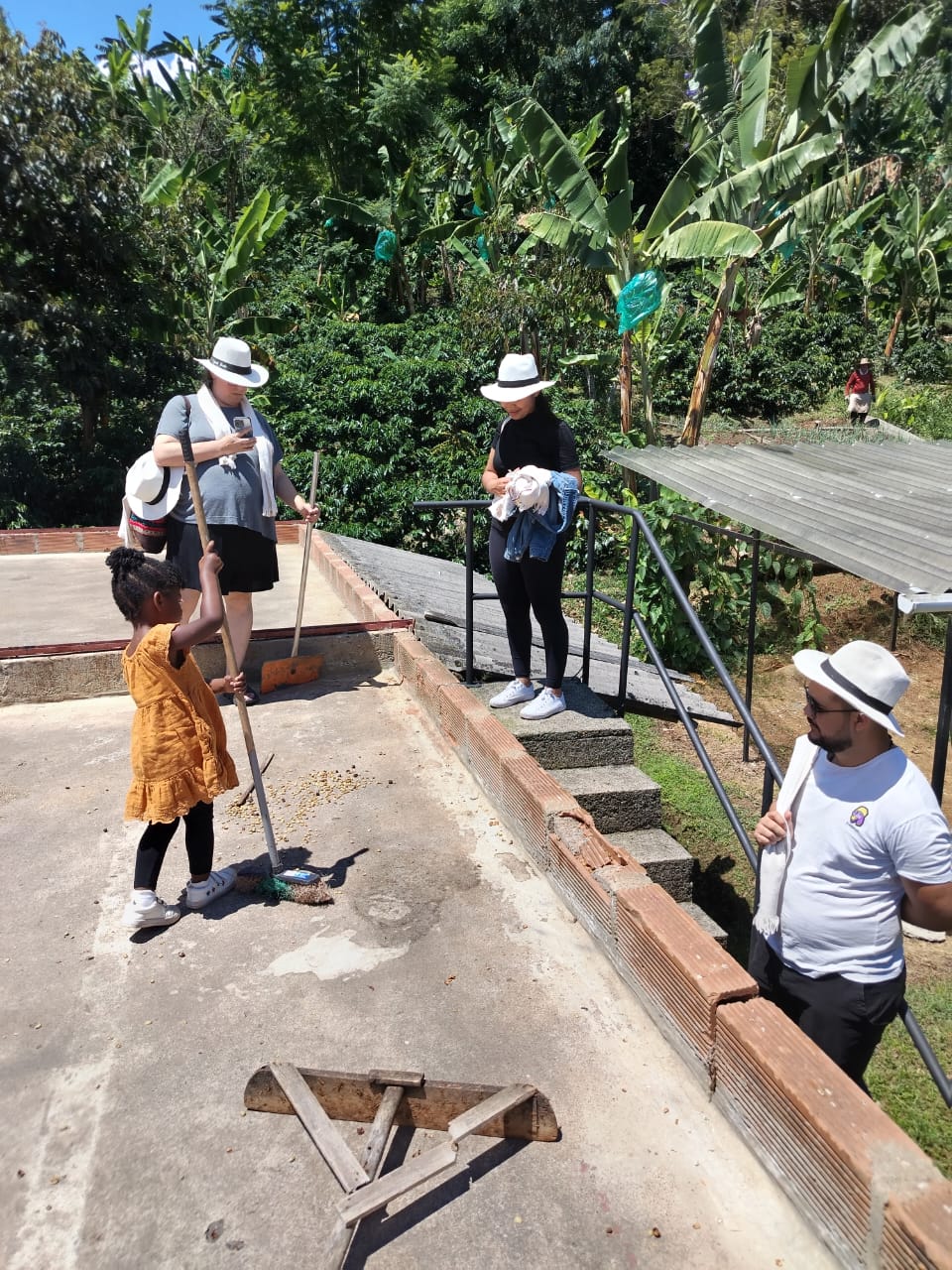 Secando el Café - Café del Jardín - Antioquia