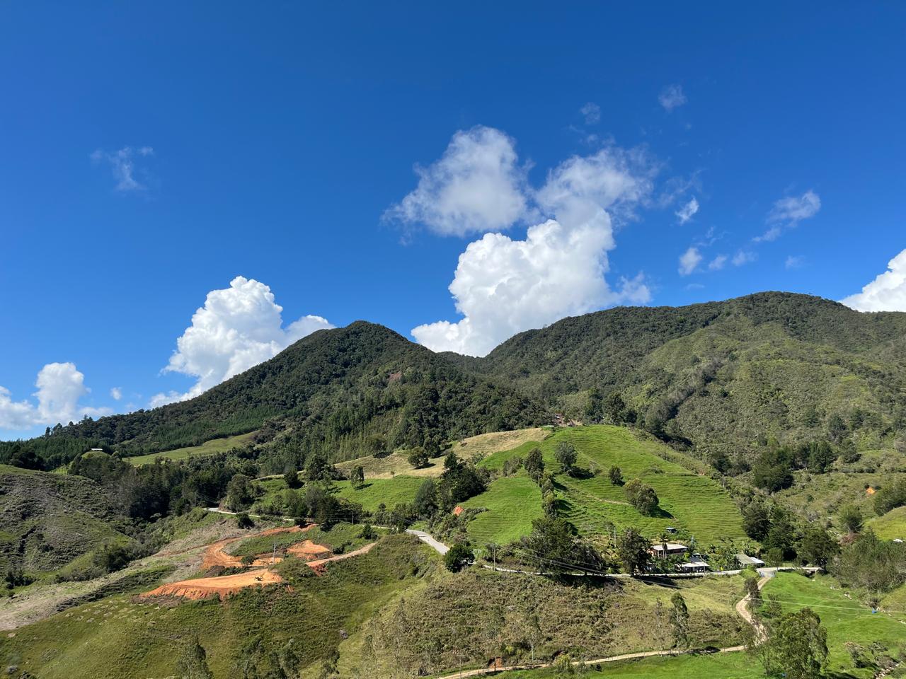 Carolina del Príncipe - 14