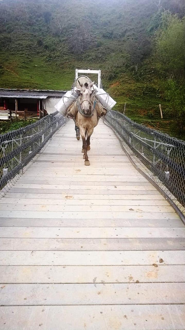 Carolina del Príncipe - 17