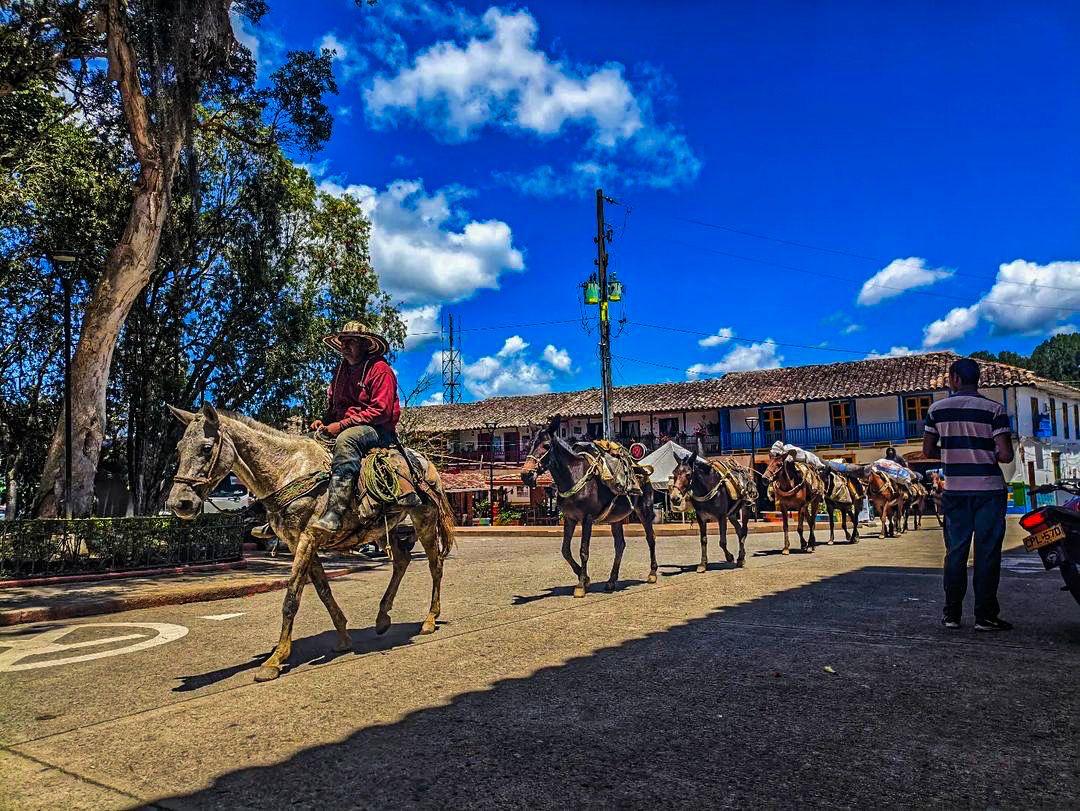 Carolina del Príncipe - 24 -