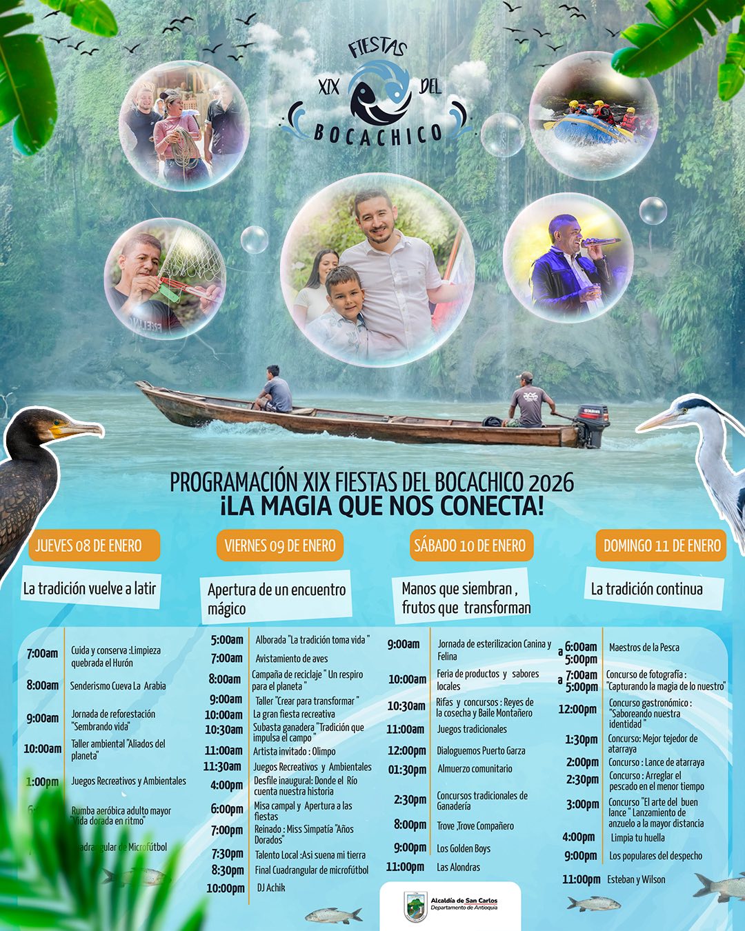 Fiestas del Bocachico - Enero 2026 - San Carlos - Antioquia - Programación