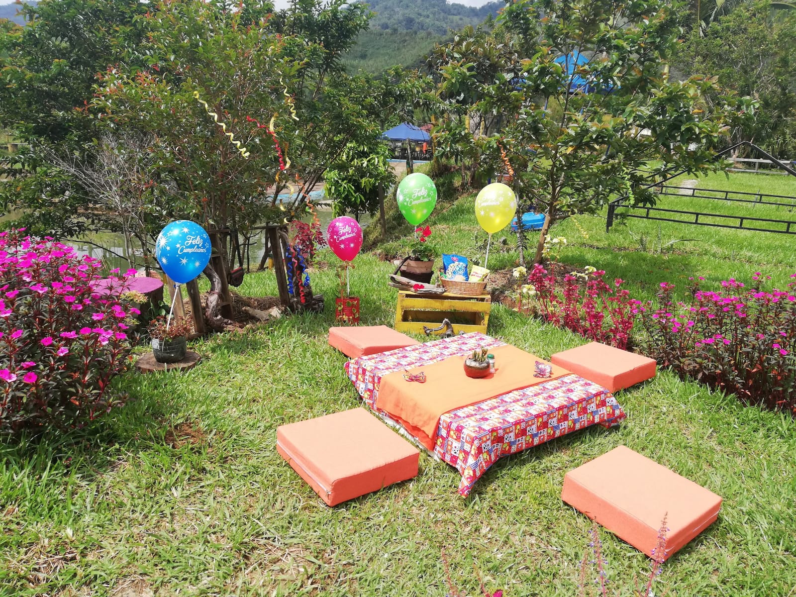 El Amarradero - Alejandría - S1