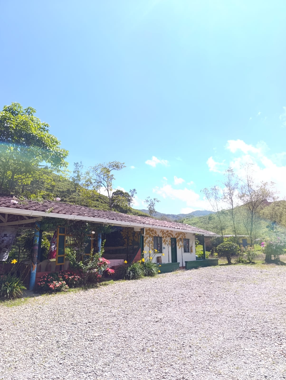 El Amarradero - Alejandría - Frente