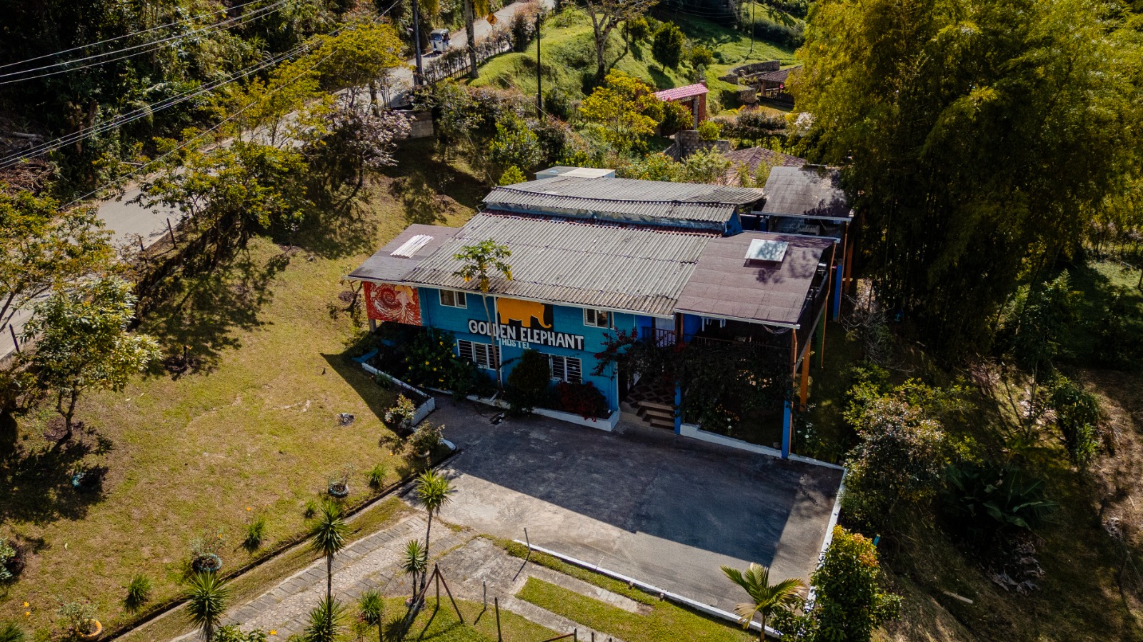 Golden Elephant Hostel - f1