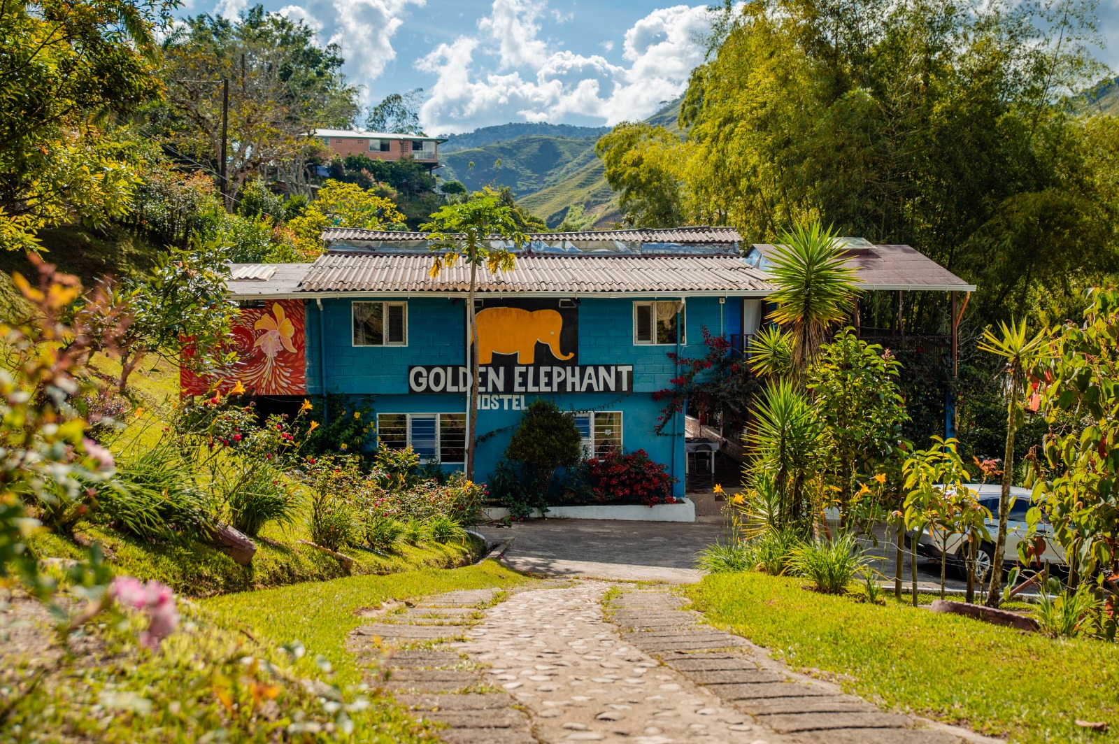 Golden Elephant Hostel - f3