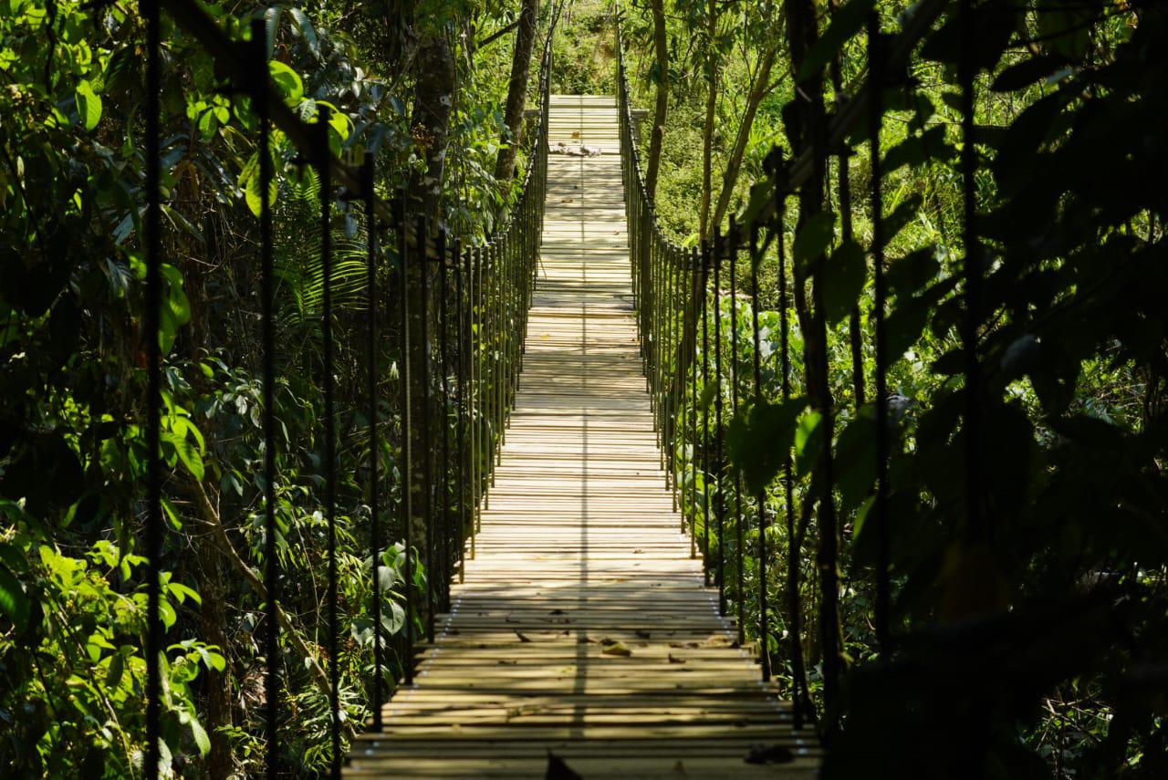 Maporita - Alejandría -R4