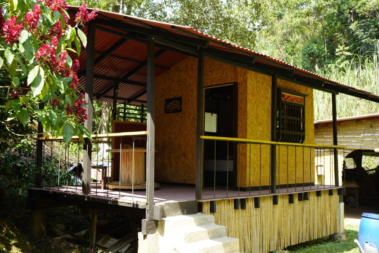 Maporita - Alejandría - F2