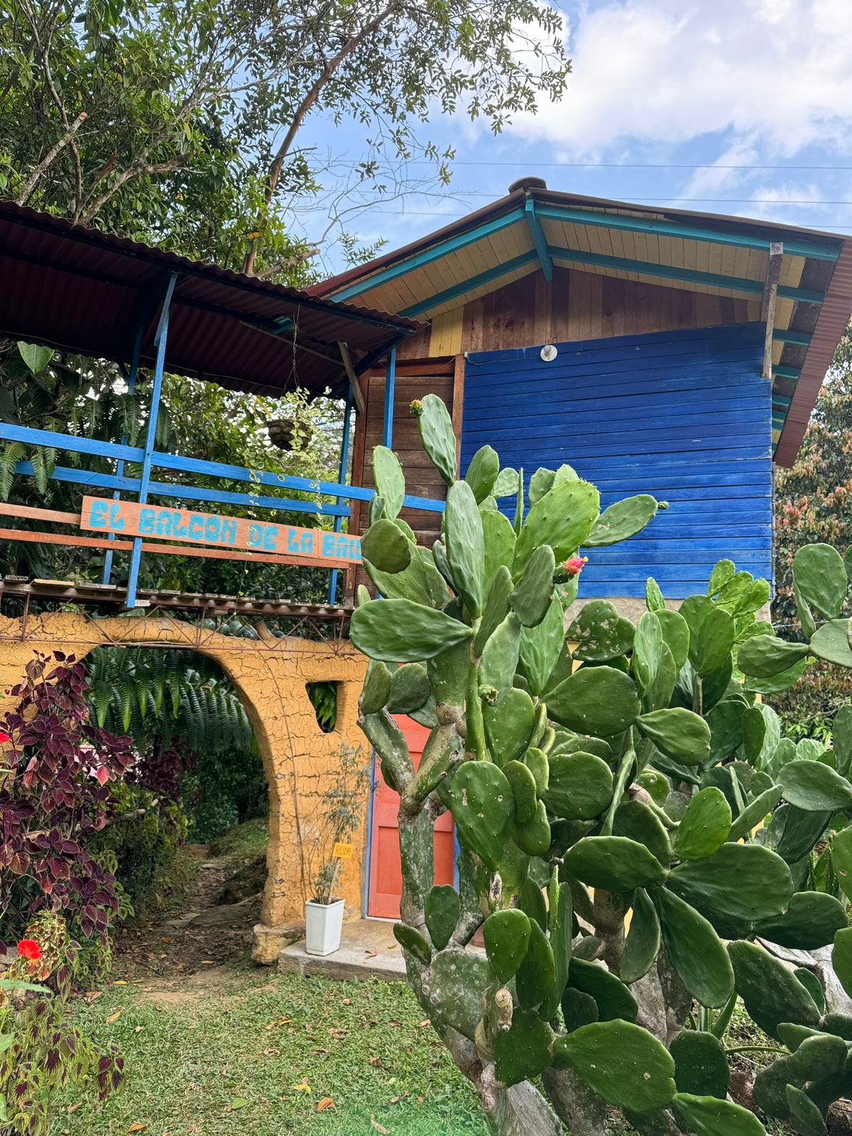 Maporita - Alejandría - Fac