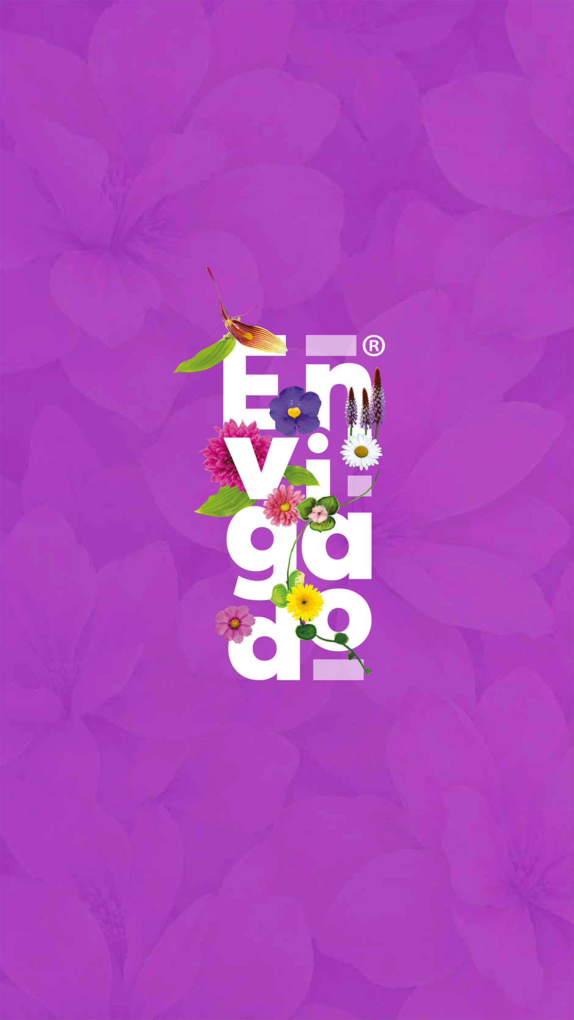 Programación fiestas 2026 - - Envigado