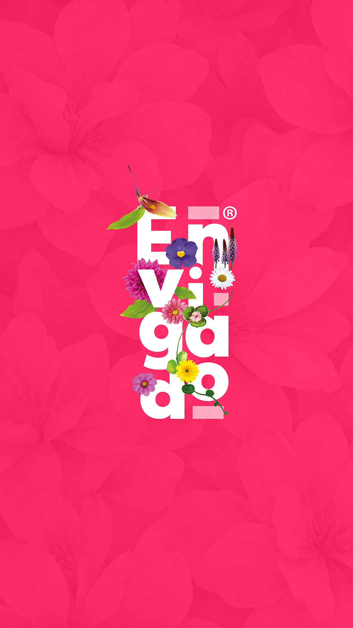Programación fiestas 2026 - Portada
