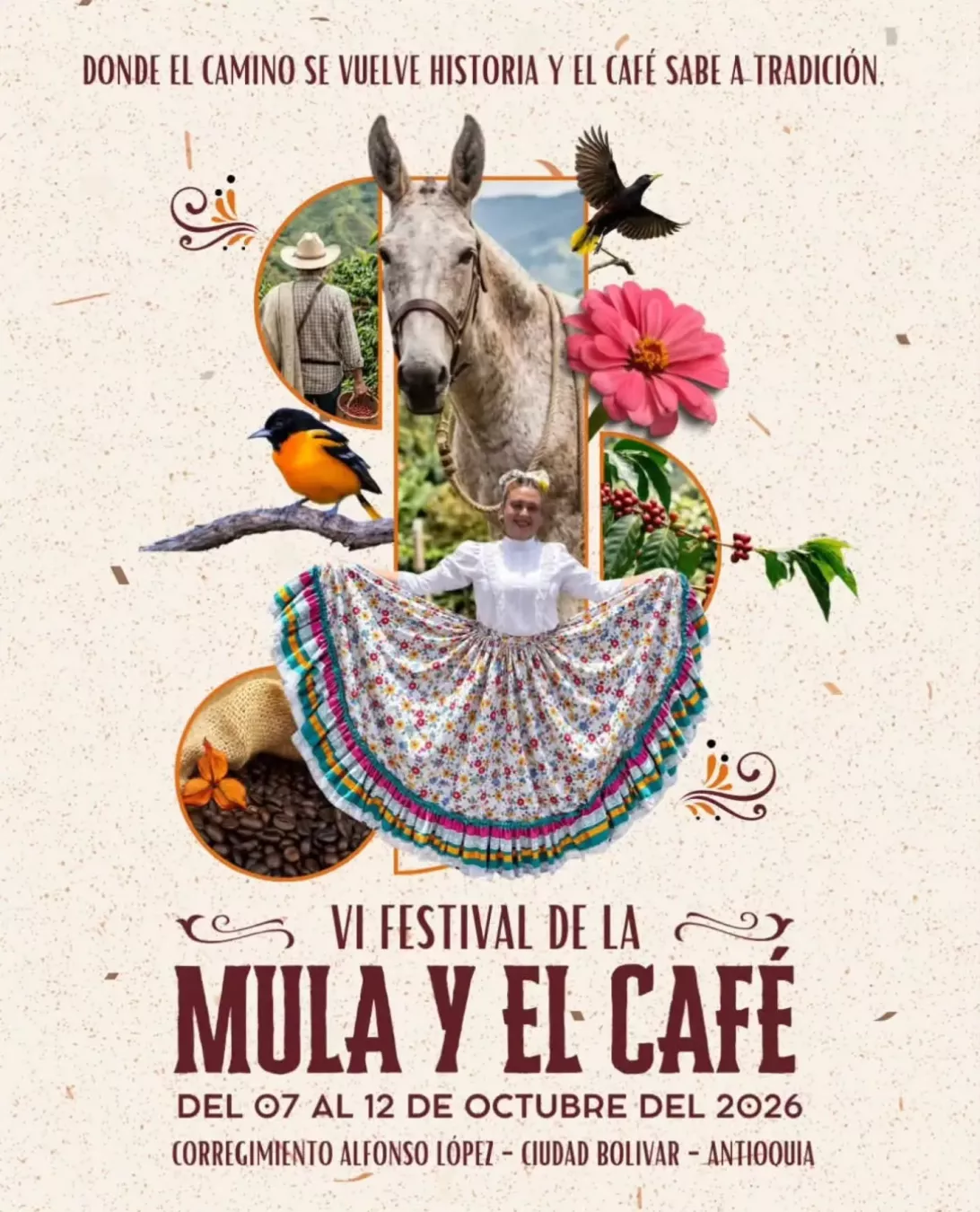festival_mula_2026 - Ciudad Bolívar